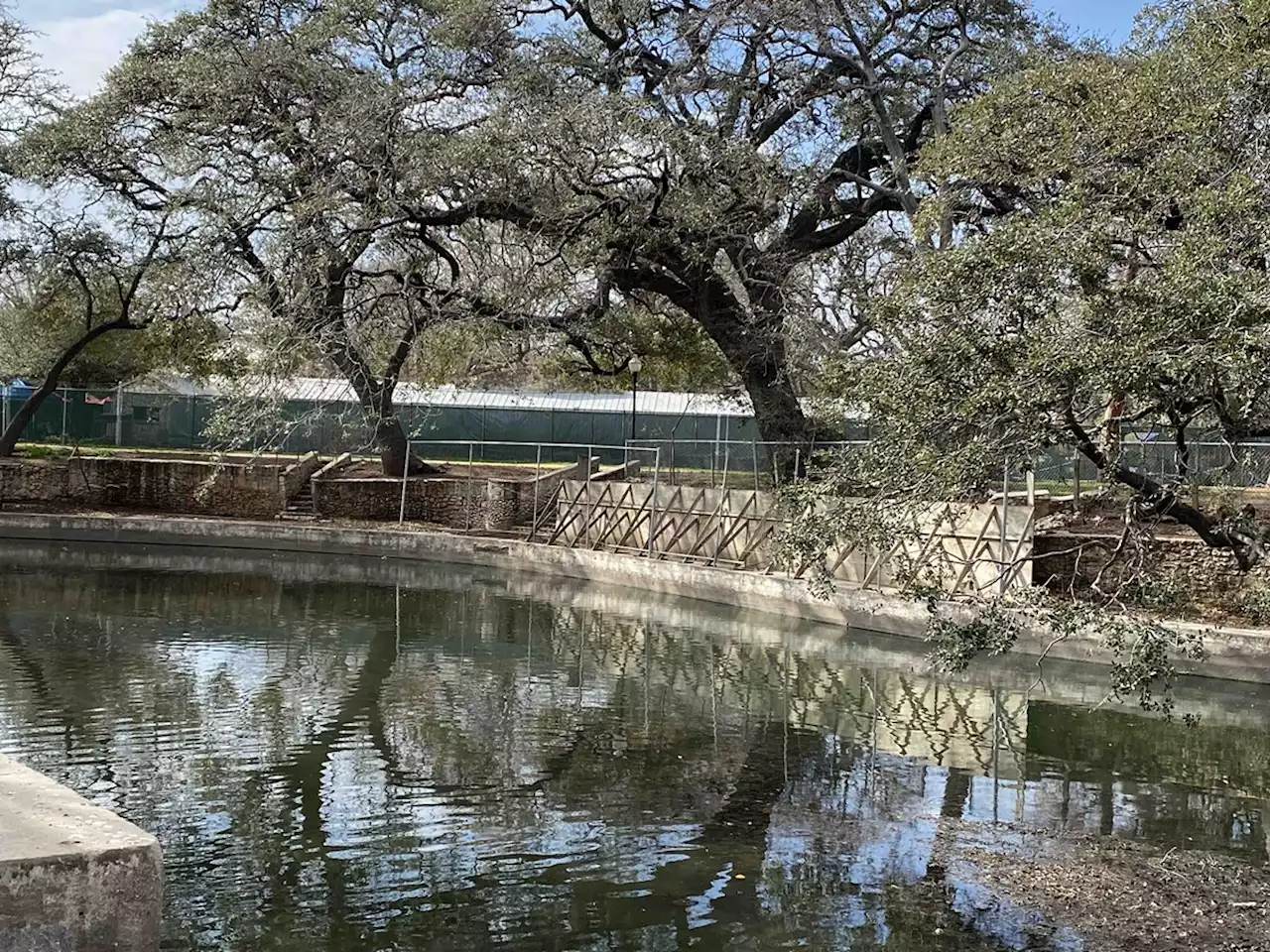 San Antonio City Council approves Brackenridge Park tree removals