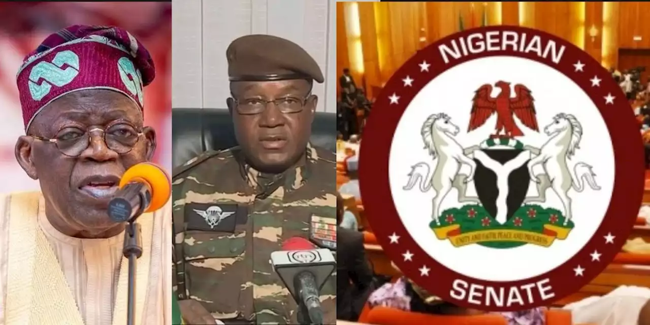 Senate To Extensively Debate President Tinubu’s Request On Possible Military Action In Niger Republic | Sahara Reporters