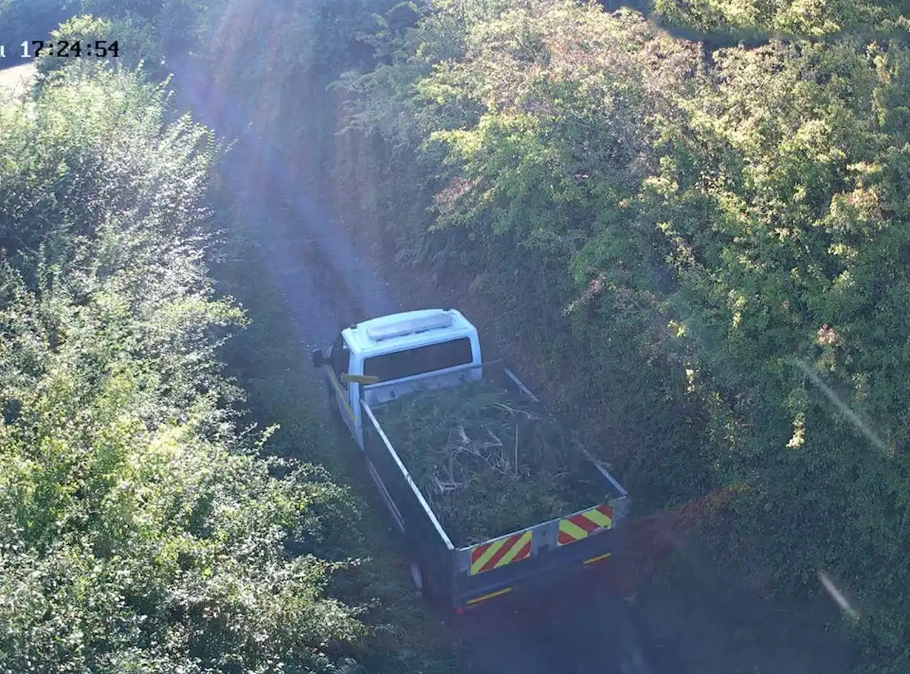 Flytipper faces huge bill after CCTV shows he was caught dumping 'large amount of tree waste' in country lane