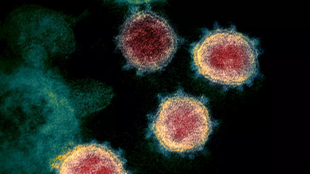 COVID-19: New variant spreading across UK - as overall cases continue to rise