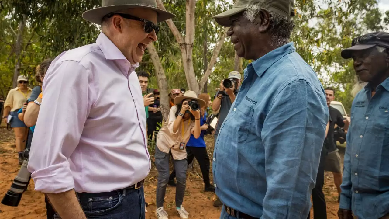 Albanese 'confident' Voice referendum will deliver on Yes vote