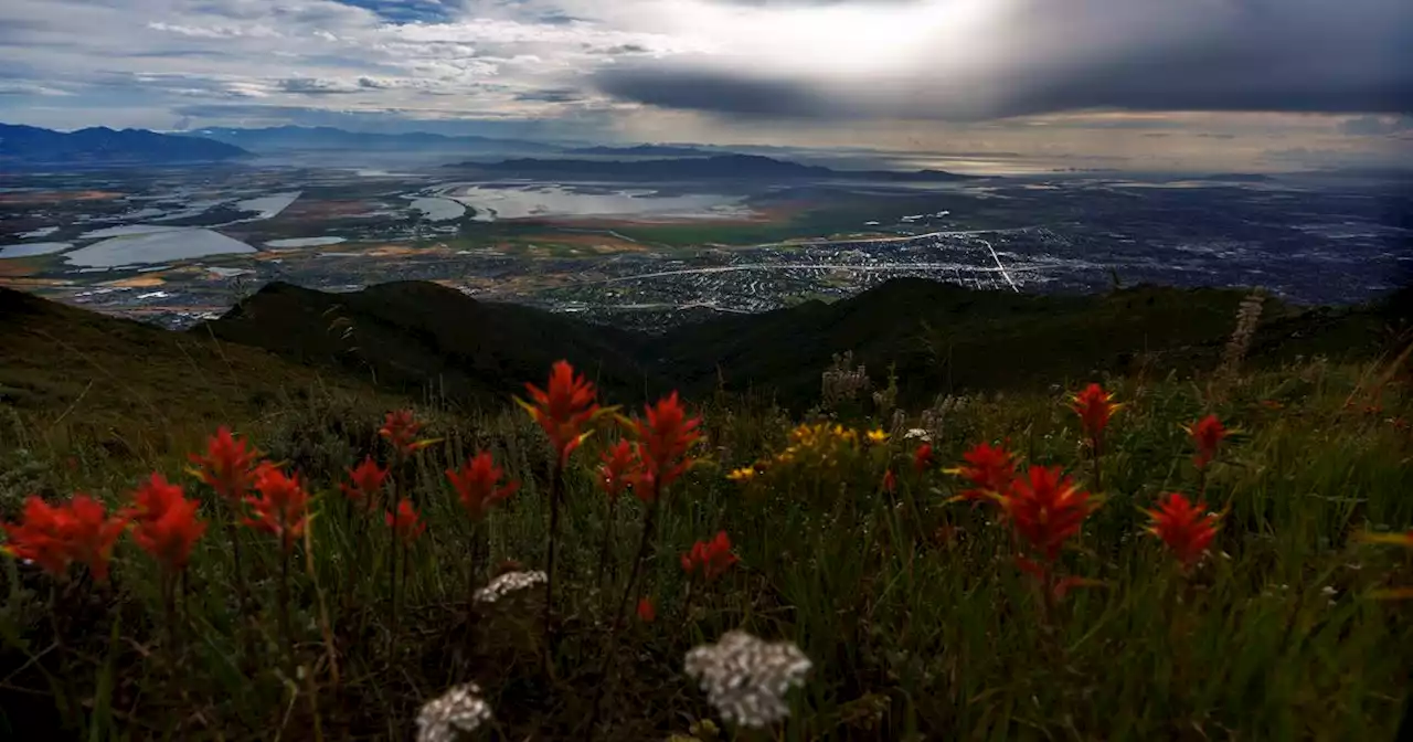 Salt Lake City just had its rainiest day in 6 years