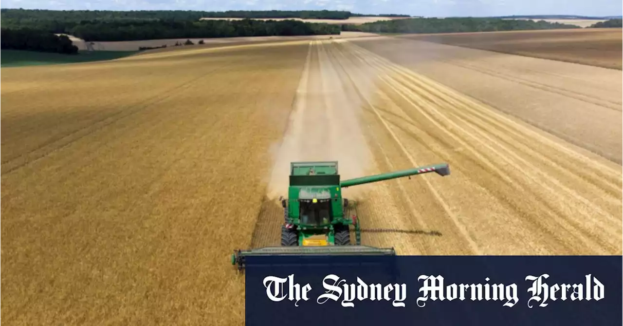 China drops tariffs against Australian barley