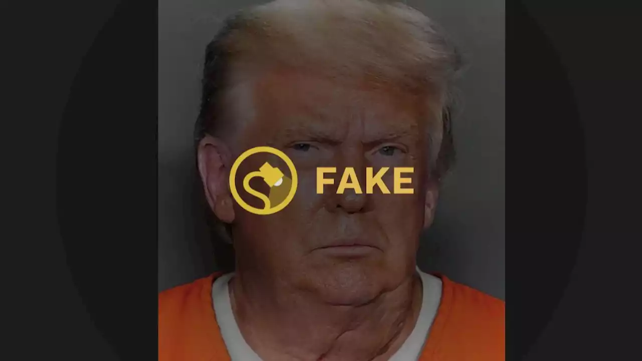 Is This Trump's Jail Mugshot That's Being Kept From the Public?