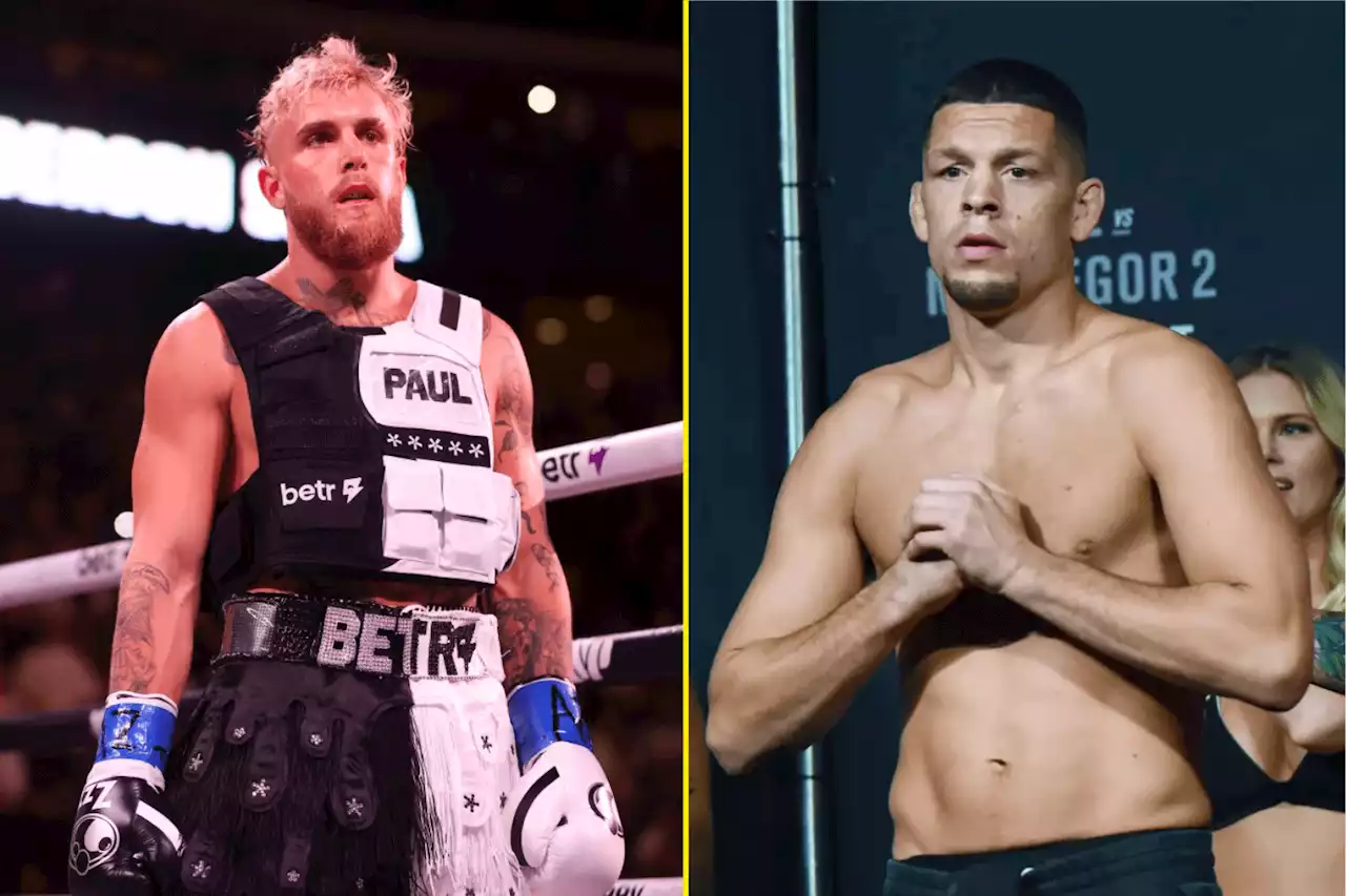 'He'll slap his head off' - Jake Paul vs Nate Diaz predicted by the professionals