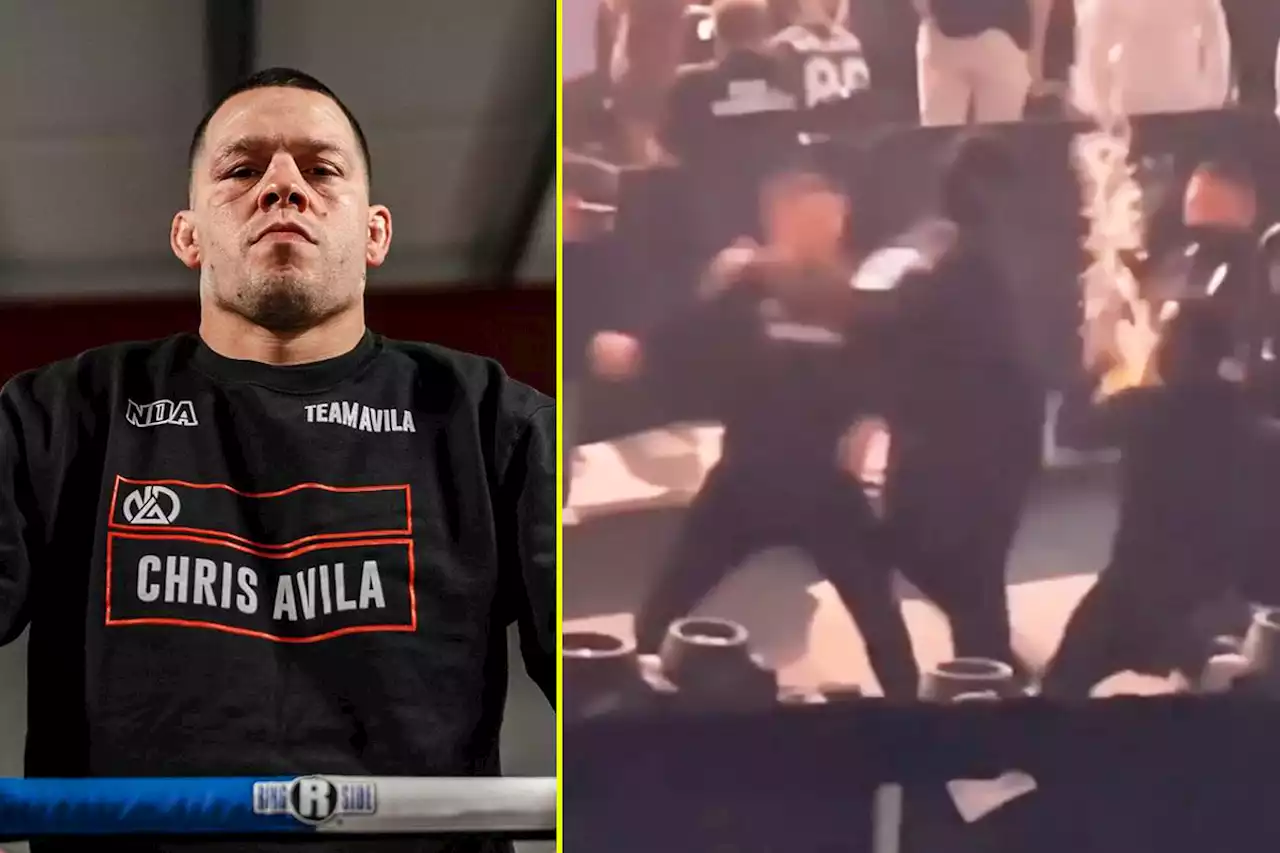 Nate Diaz scared the life out of a fan when he threw a fake punch at him during Jake Paul fight