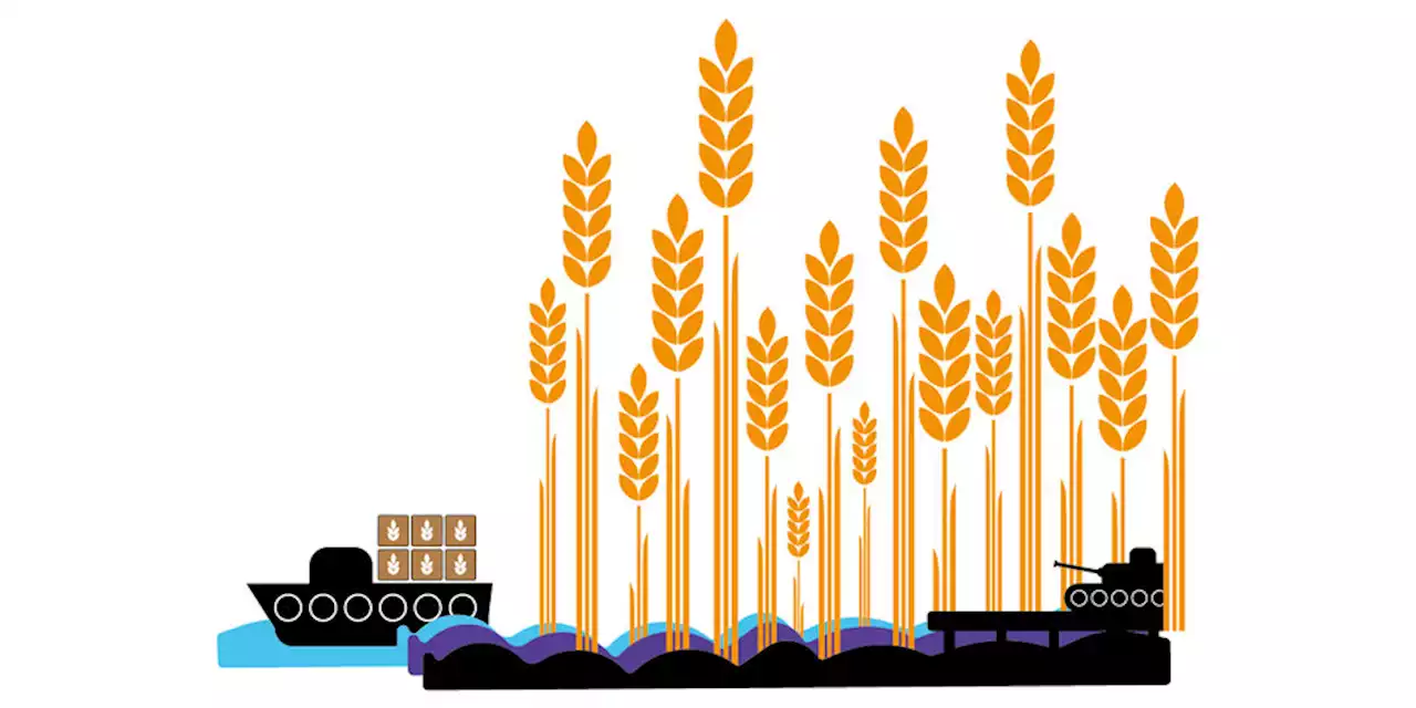 Ende des Getreideabkommens: Wege für Weizen