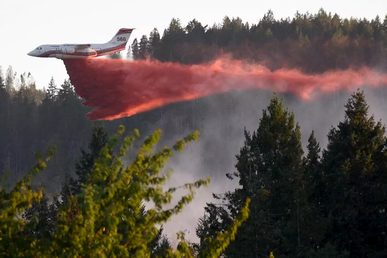 Airtankers attack wildfire behind old log sort near Port Alberni - Terrace Standard