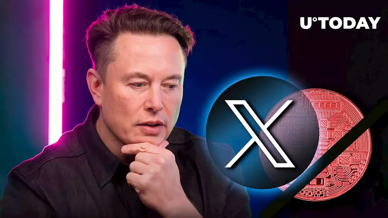 No, Elon Musk Will Not Allow Crypto or Stock Trading on Twitter