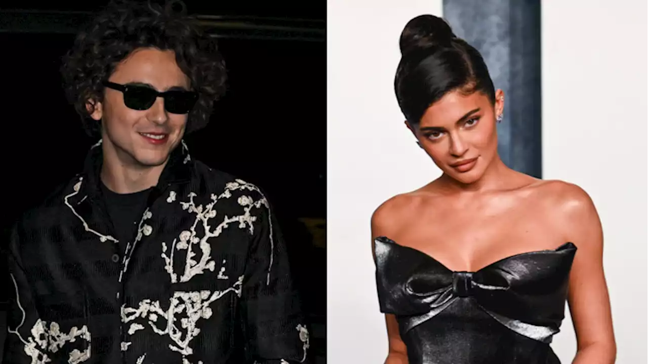 Kylie Jenner e Timothée Chalamet: c'è aria di crisi o no?