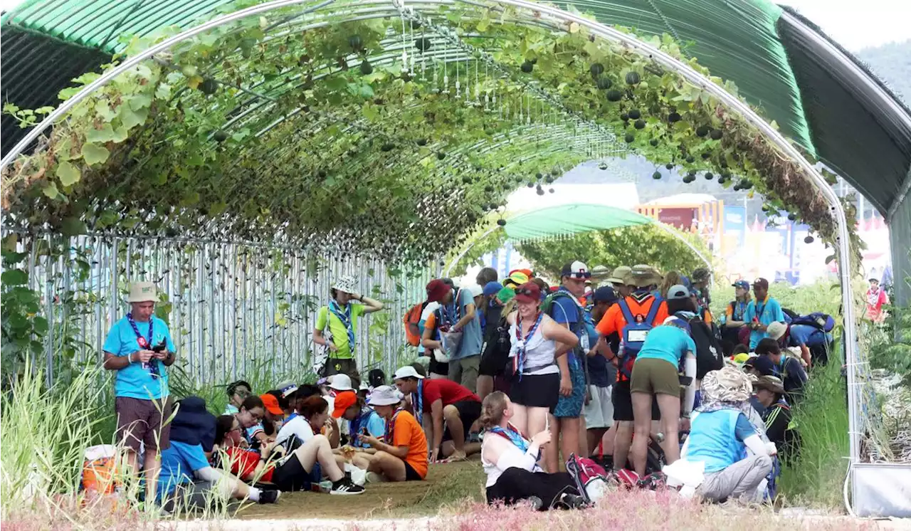 South Korea scrambles as global Scout gathering swelters in ‘heat trap’