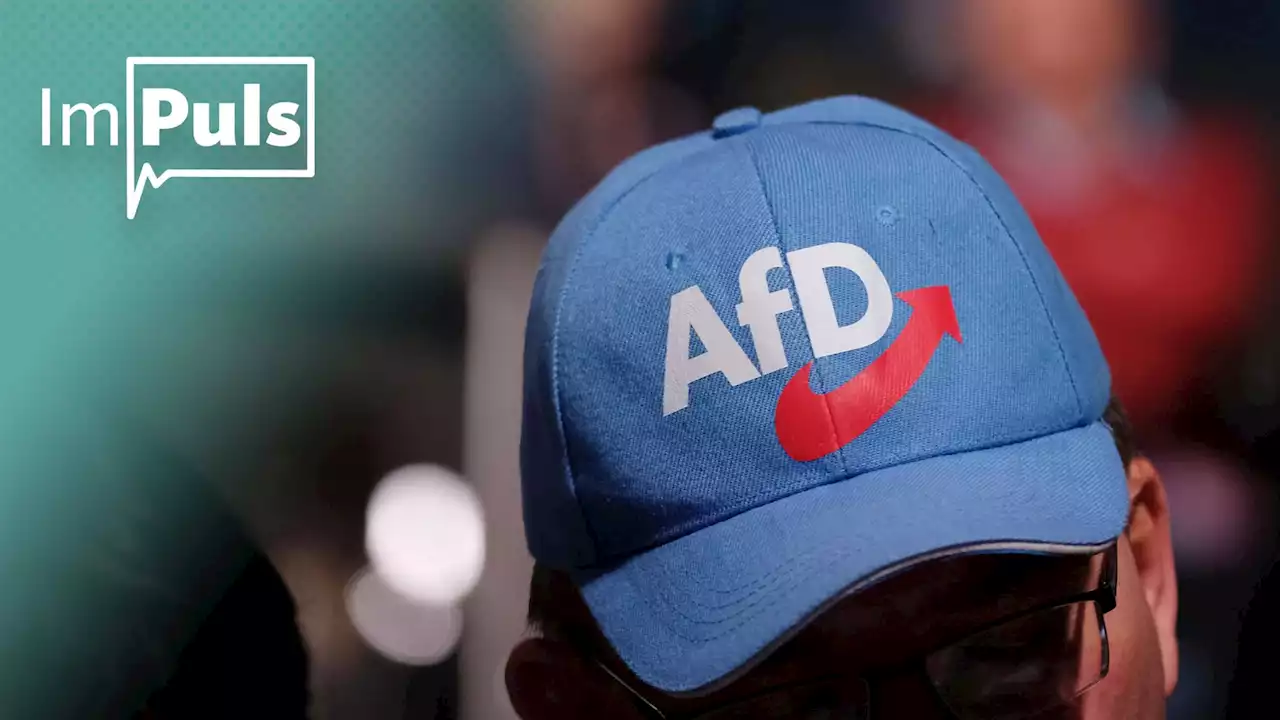 Die AfD ist keine normale Partei | MEINUNG