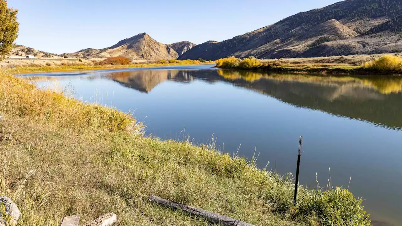 Rare otter attack injures three women floating on inner tubes on popular Montana river