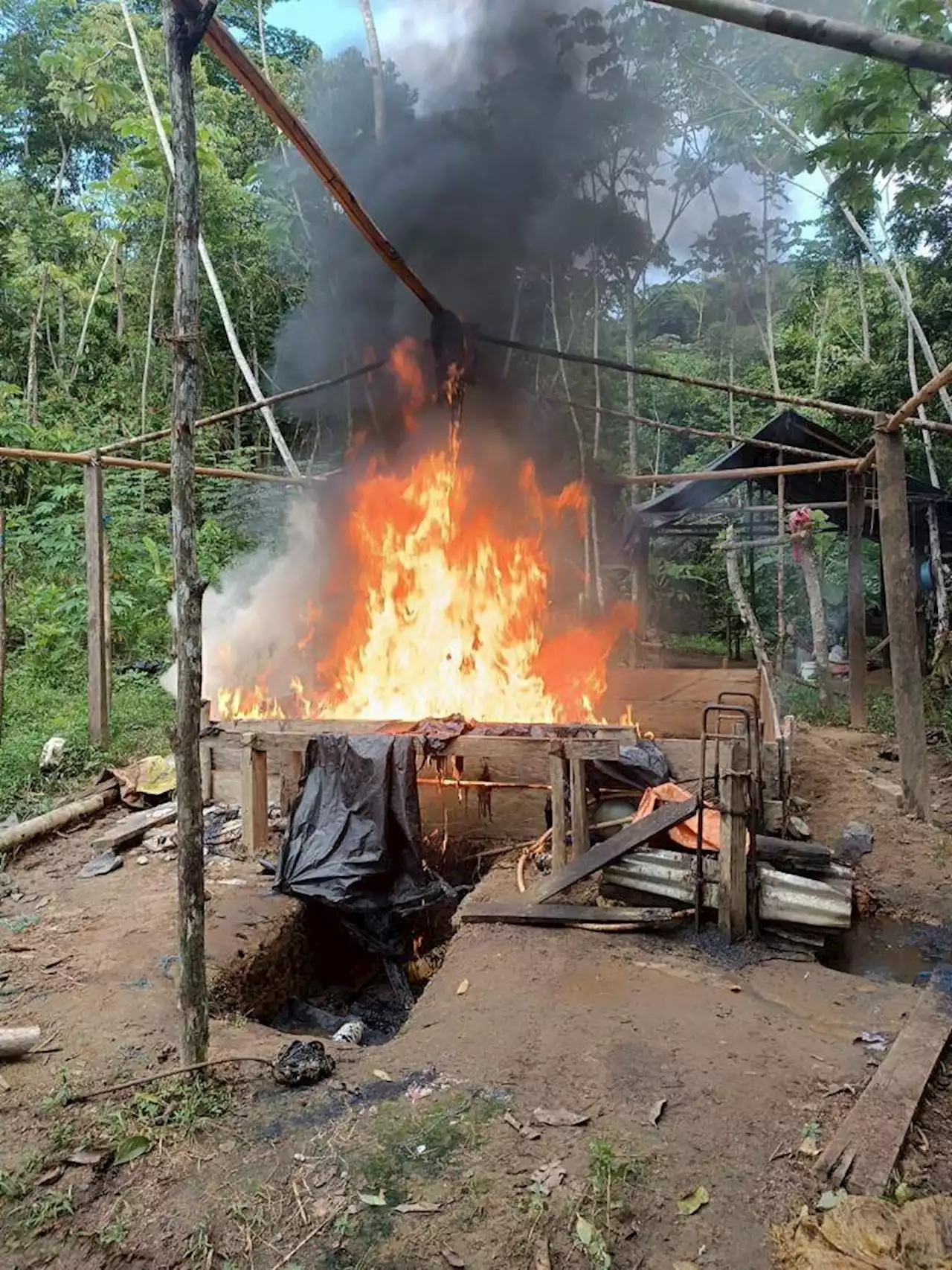 Destruyen cinco laboratorios para el procesamiento de coca en Antioquia y Córdoba