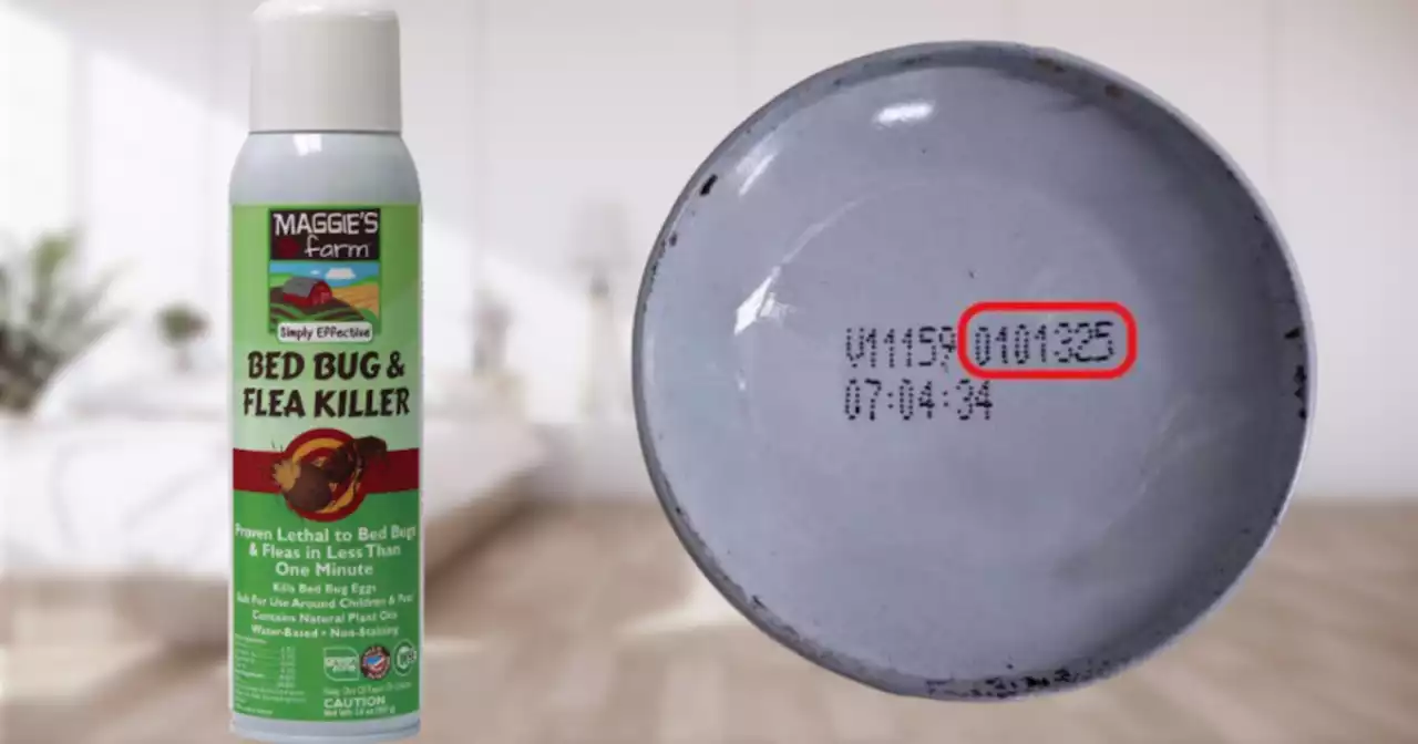 Maggie's Farm Bed Bug and Flea Killer cans recalled due to injury hazard