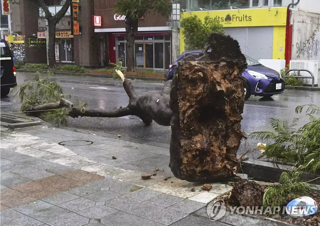 카눈 일본 관통할 듯…동해까지 '태풍'으로 북상할 수도 | 연합뉴스