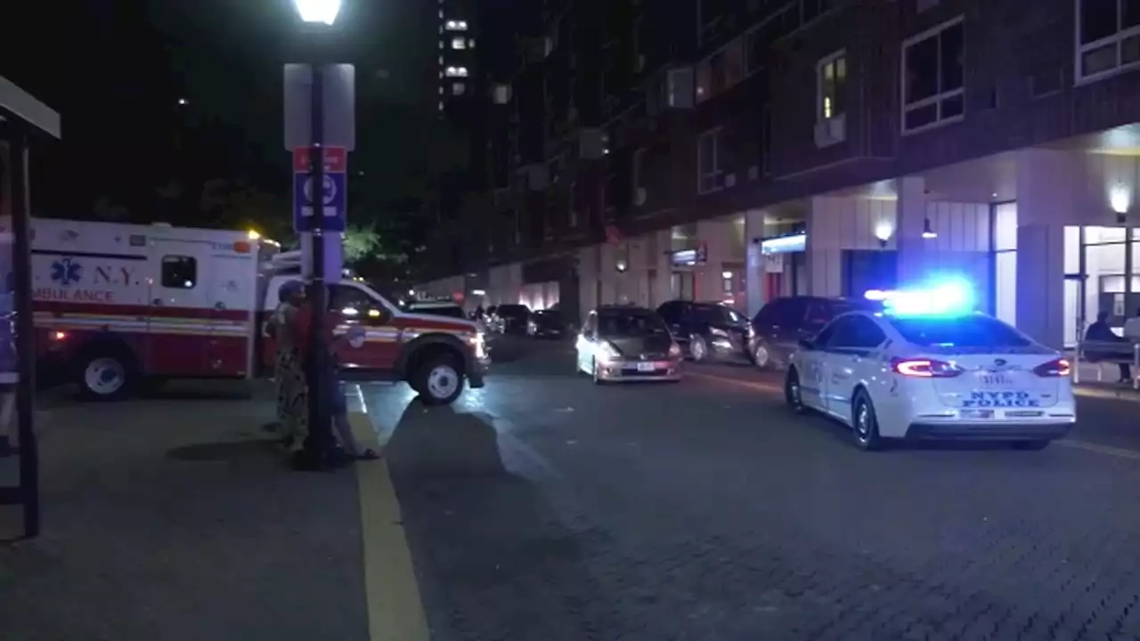 Police fatally shoot knife-wielding man on Roosevelt Island