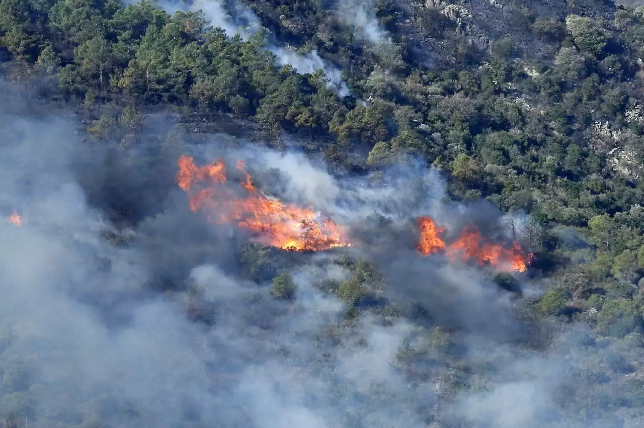 Un incendie à la frontière entre l'Espagne et la France s'étend, 130 personnes évacuées