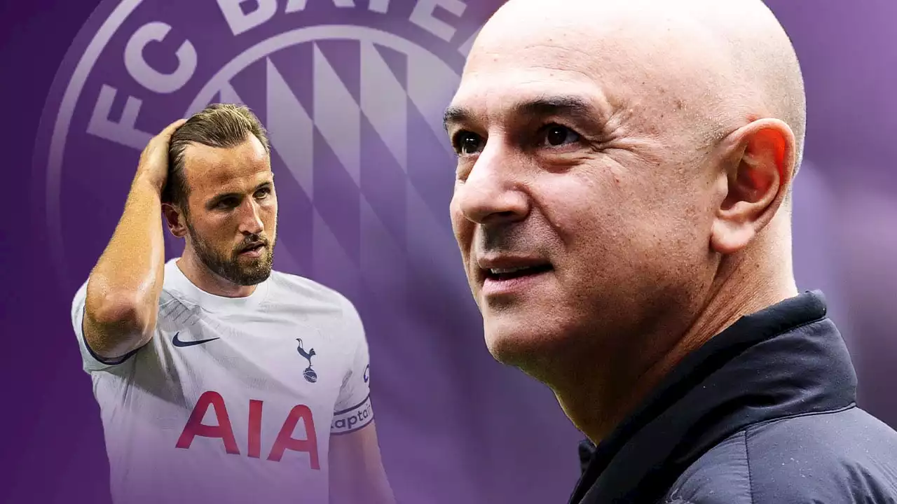 FC Bayern: Neues vom Kane-Poker – Tottenham-Boss Levy führt Bayern vor