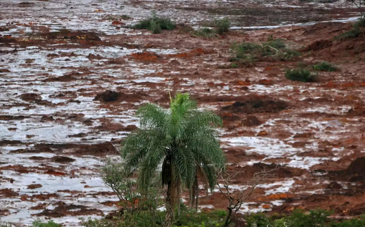 Memorial em homenagem às vítimas da tragédia da Vale em Brumadinho será gerenciado pelas famílias