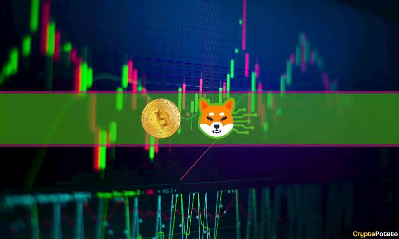 Shiba Inu (SHIB) Pumps Another 5% While Bitcoin Stagnates at $29K: Market Watch