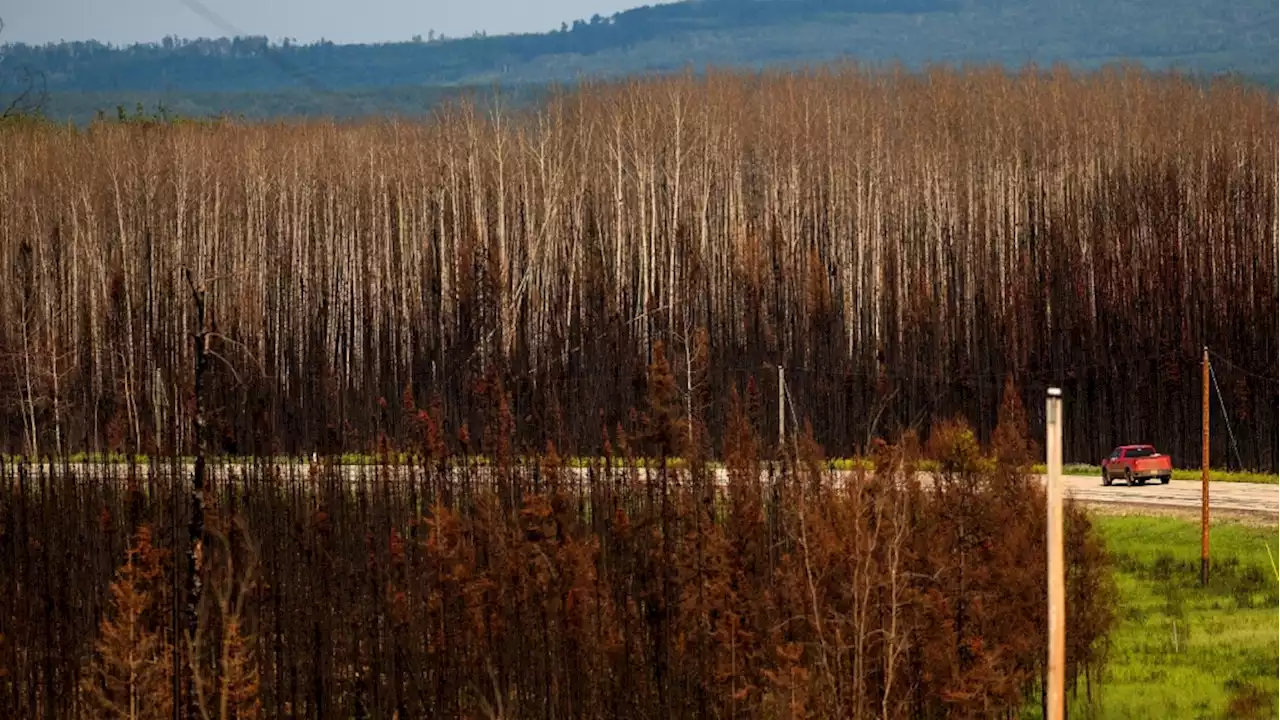 'Something's changed': Summer 2023 is screaming climate change, scientists say