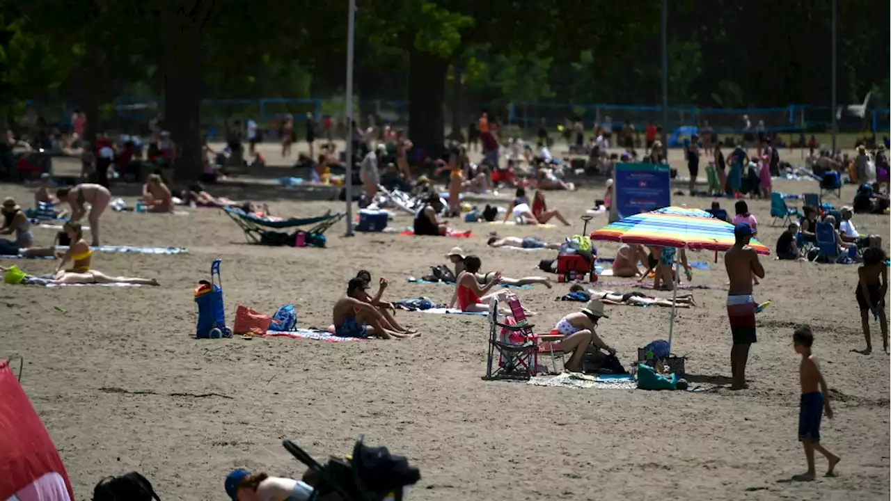 Mooney's Bay Beach open again for swimming after algae test