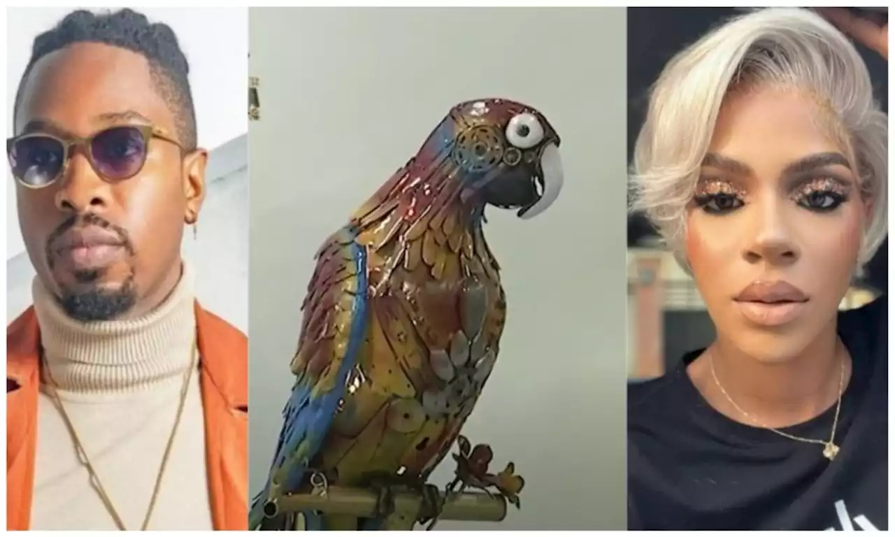 BBNaija All Stars: Parrot exposes what Ike said about pimping Venita [Video]