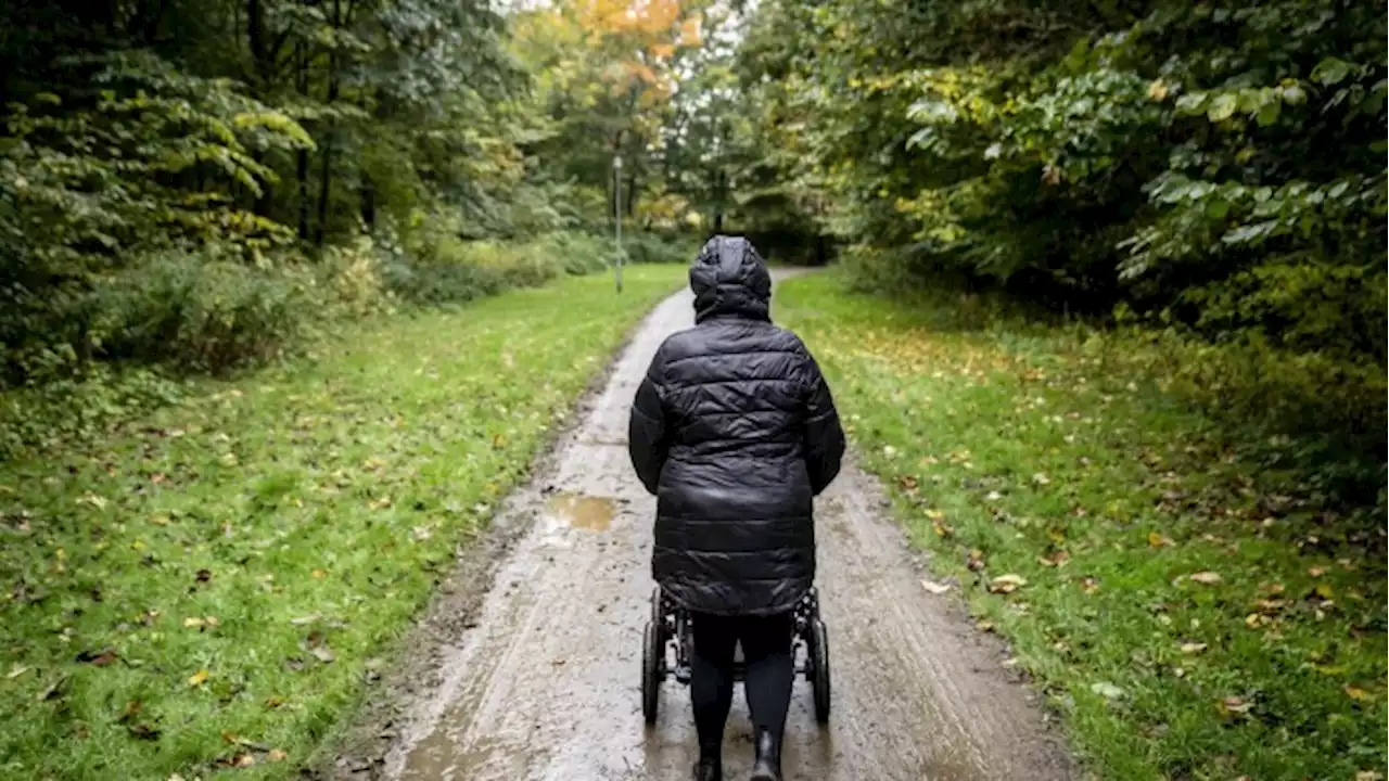 Regn og kraftig blæst venter forude: 'Det bliver decideret efterårsvejr'