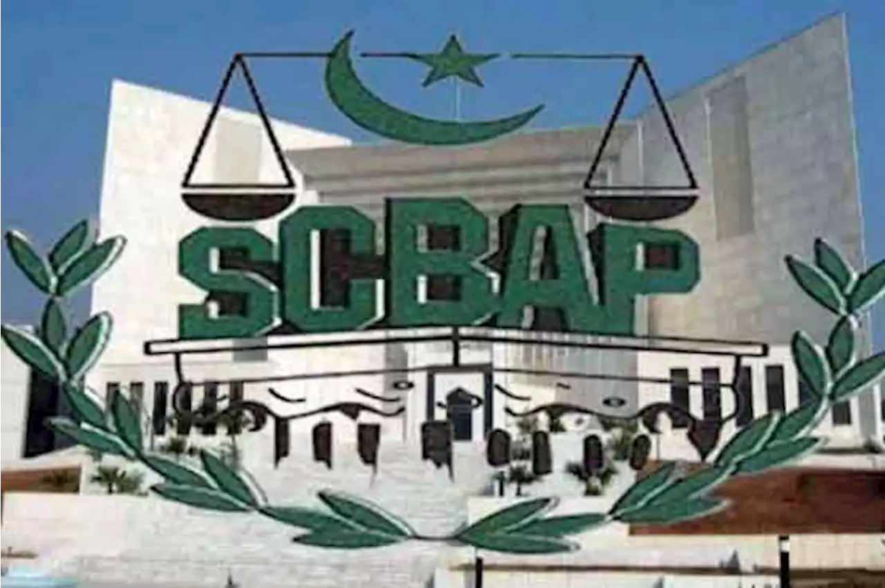 عجلت میں سنایا گیا فیصلہ انصاف اور قانونی اصولوں کیخلاف ہے: سپریم کورٹ بار
