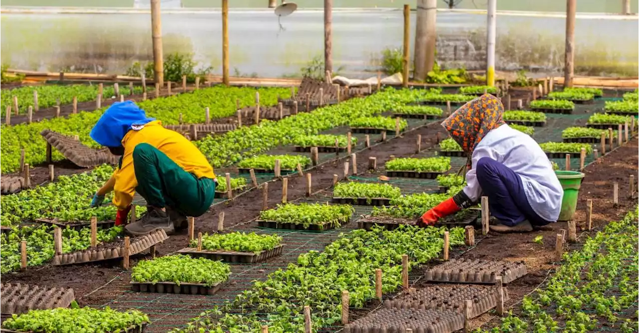 Gobierno da nuevo impulso para acelerar la reforma agraria