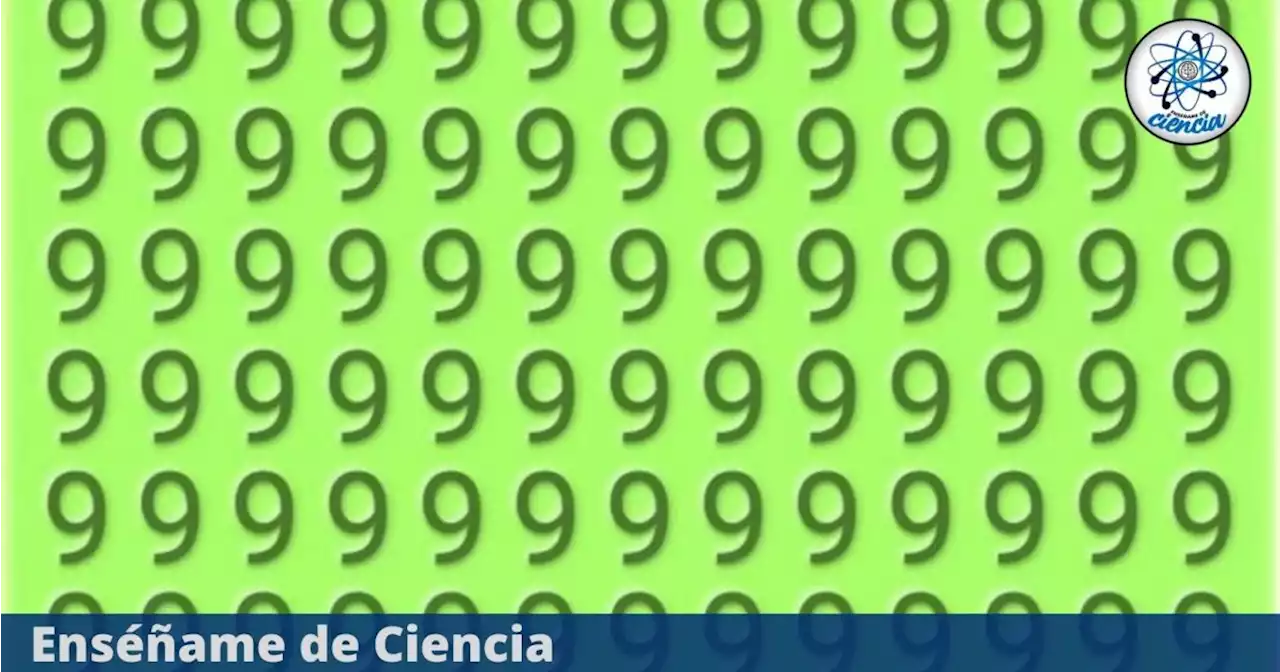 Desafío visual: Descubre en 6 segundos aquello que no es igual al resto; el 95% falló