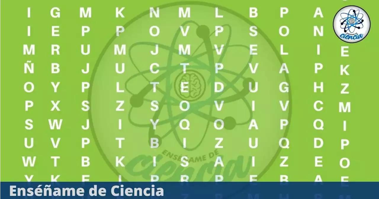 Desafío visual: Encuentra la palabra PANTERA en menos de 5 segundos