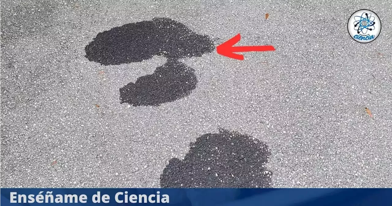 El Trucazo Para Eliminar Las Manchas De Aceite Del Piso De Cemento En Solo 3 Pasos 6024