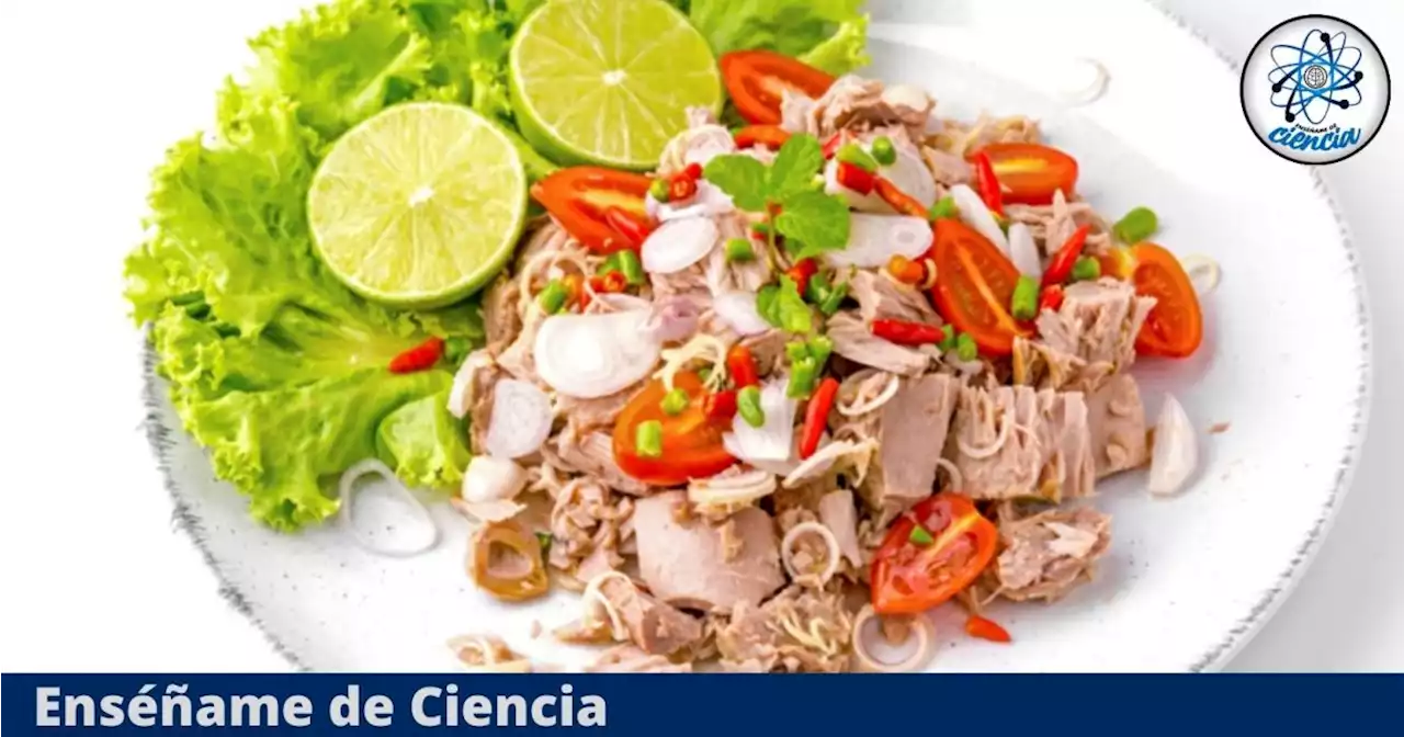 Ensalada de atún: prepara con esta receta una de las ensaladas más populares y sabrosas