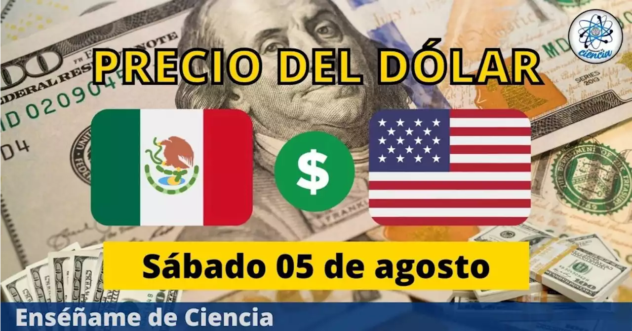 Precio del dólar hoy sábado 05 de agosto, ¿cómo amaneció el tipo de cambio en México?