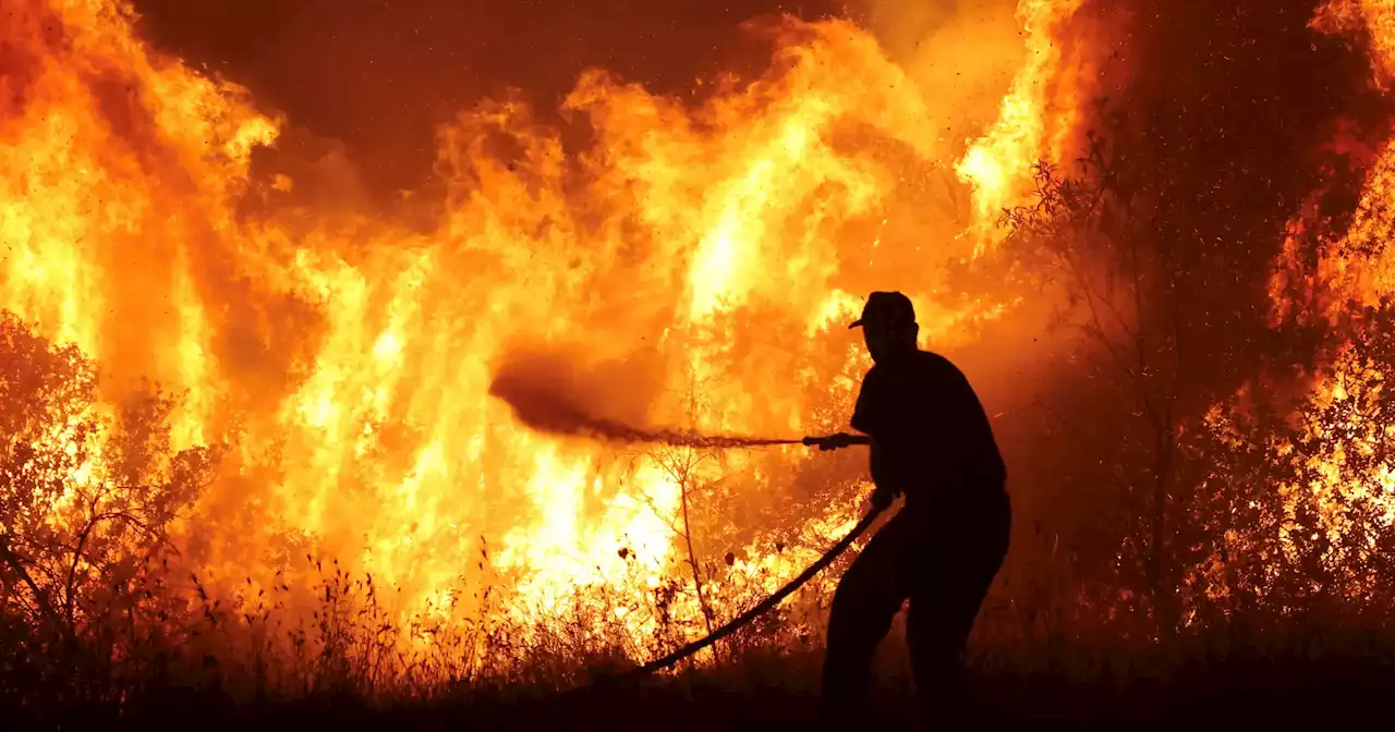 Mais de 500 bombeiros combatem incêndio em Castelo Branco dificultado pelo vento