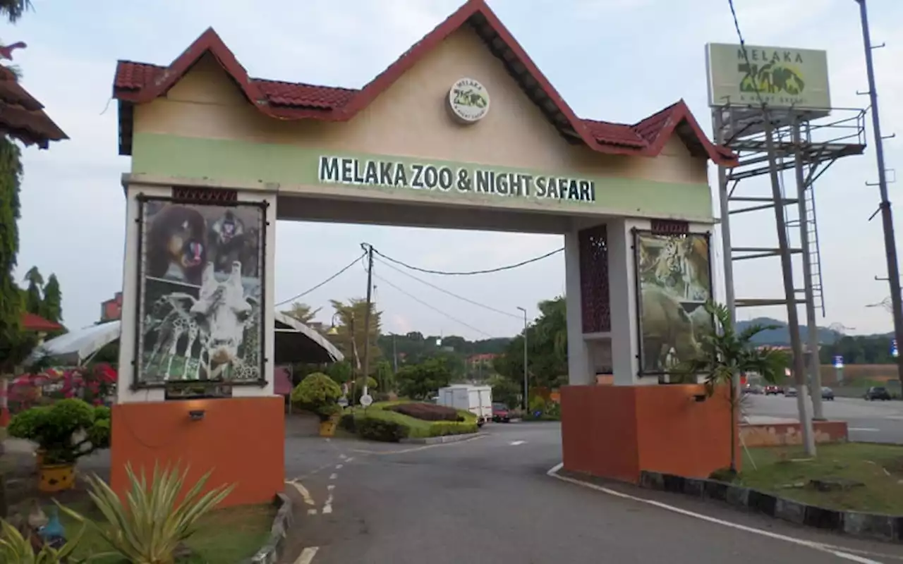 Malaysia’s largest safari park to be built in Melaka