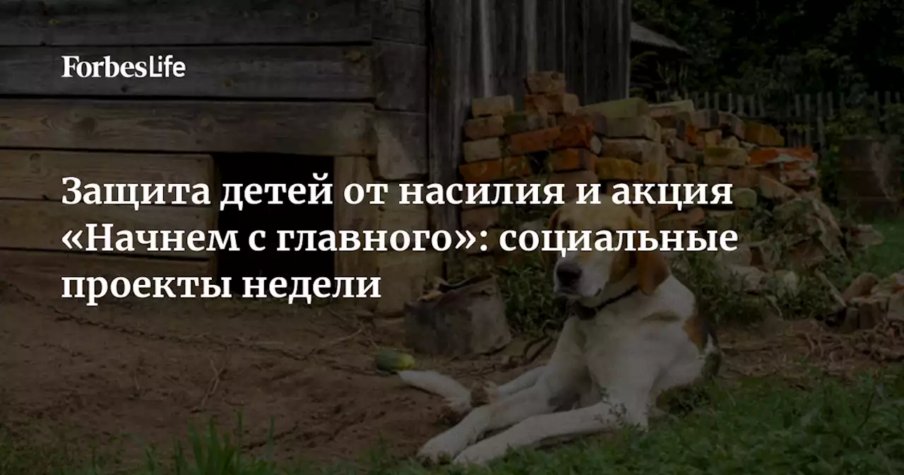 Защита детей от насилия и акция «Начнем с главного»: социальные проекты недели