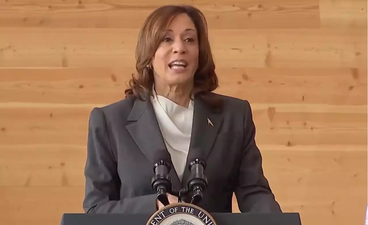 VP Harris mocked for proclaiming 'community banks are in the community' once again: 'Another pearl of wisdom'