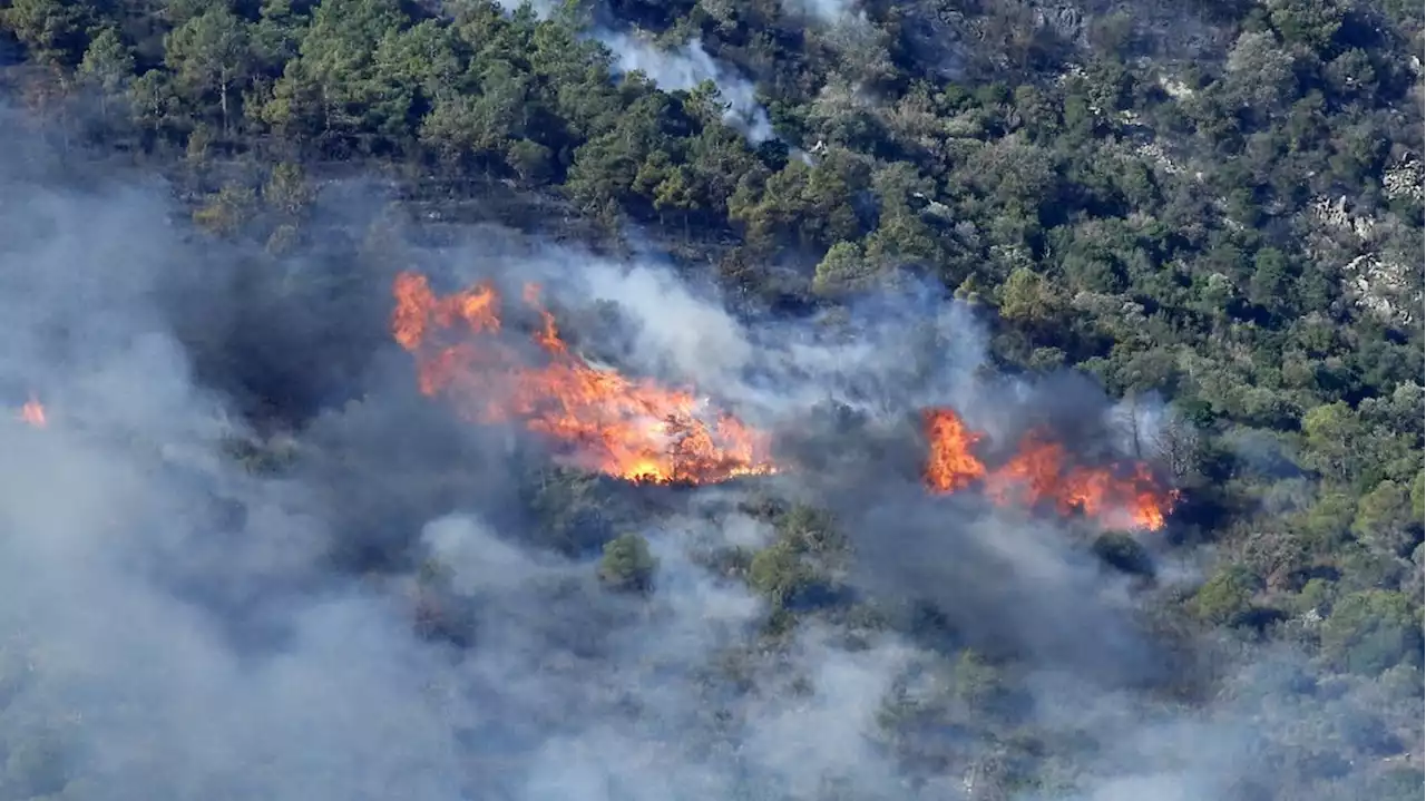 L'incendie à la frontière entre la France et l'Espagne s'étend, plus de 130 personnes évacuées