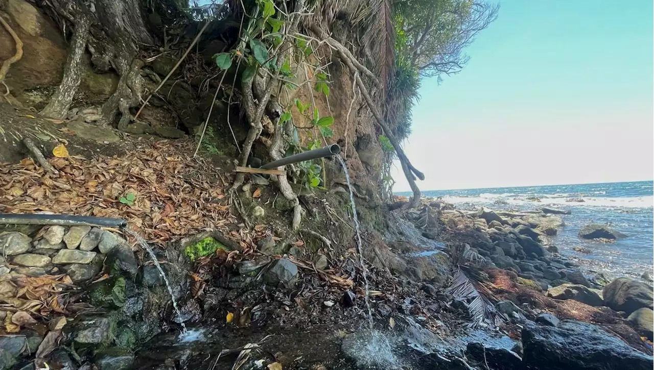 Guadeloupe : La chlordécone à la source