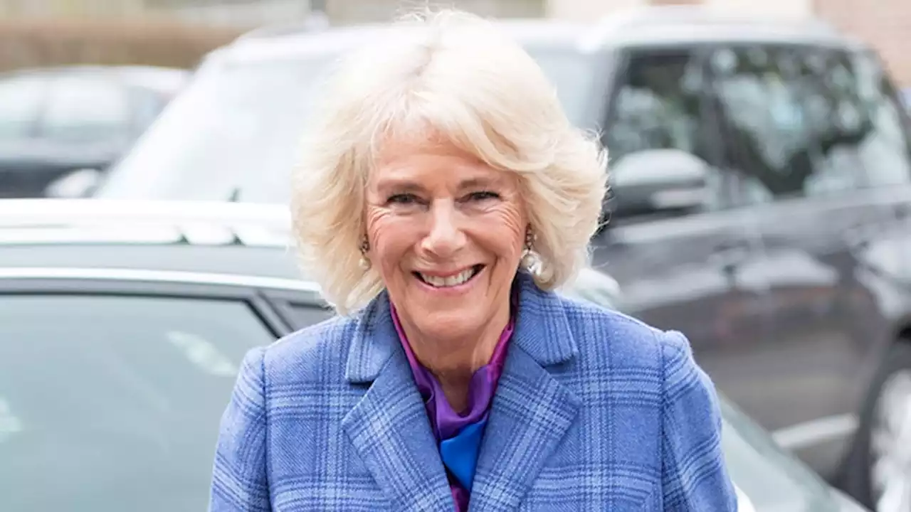 Queen Camilla lauded as 'amazing' and 'hands-on' granny in sweet interview