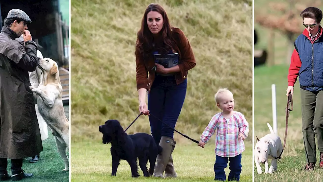 Royal dog walks: 21 charming photos of Kate Middleton, Prince William and Princess Anne with their beloved pooches