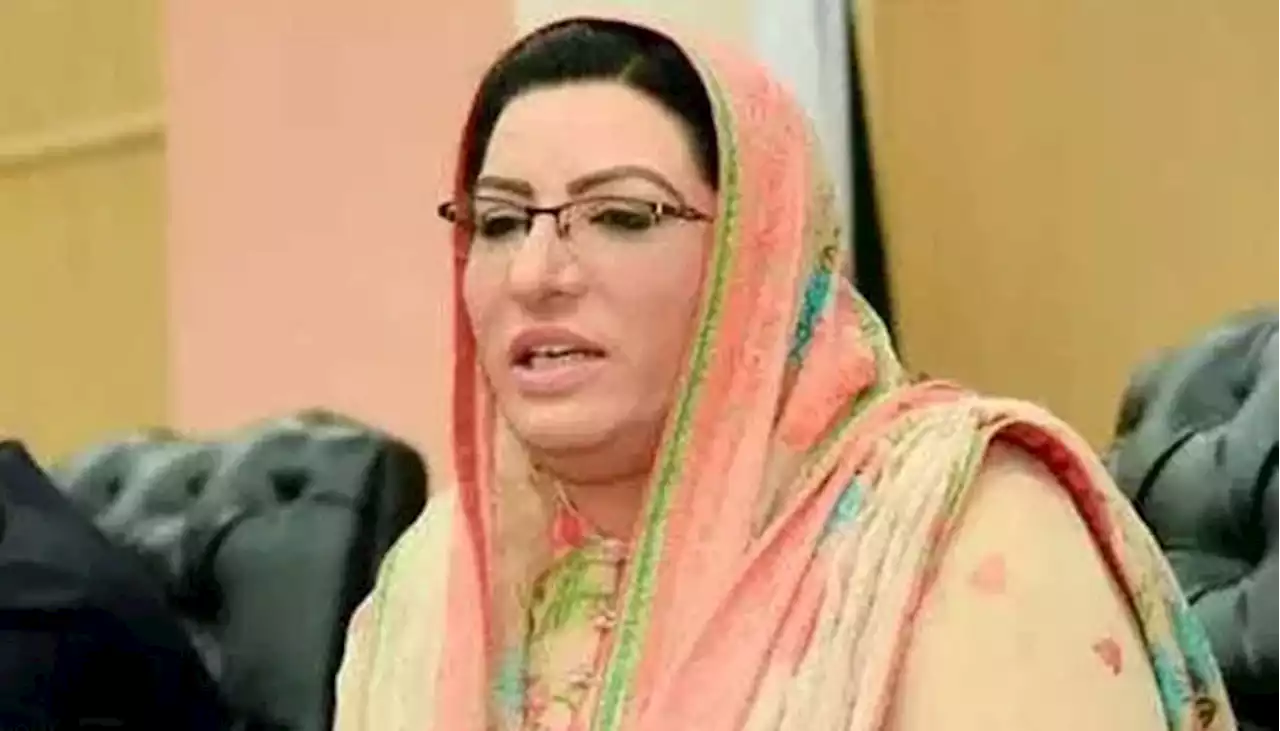 سابق وزیراعظم کی گرفتاری پر بشریٰ بی بی کو مبارکباد دیتی ہوں، فردوس عاشق اعوان