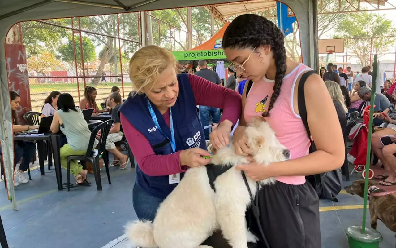 Cariocas formam grande fila para microchipagem de animais de estimação na Zona Oeste | Rio de Janeiro | O Dia