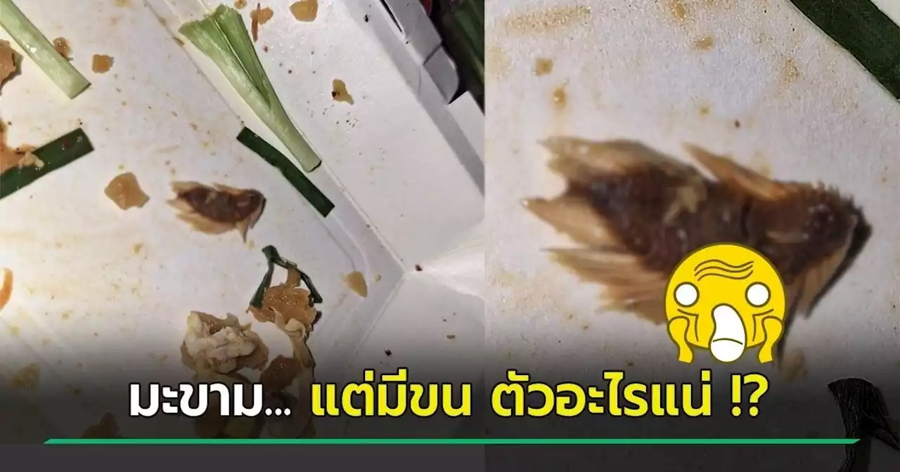 สาวซื้อผัดไทยกินไปครึ่งกล่อง เจอตัวปริศนา แม่ค้าบอกมะขาม แต่ดูดี ๆ อื้อหือ.. ขนลุก !