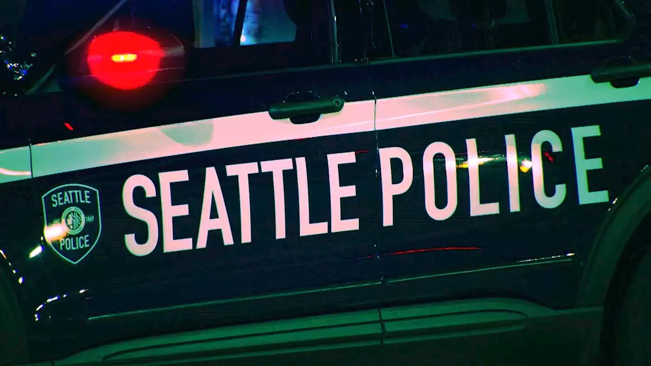 Seattle Police ask for public’s help after deadly hit-and-run