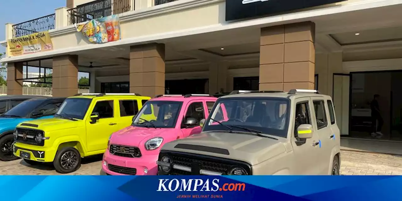 Importir Ini Buka Pengadaan Mobil Listrik Murah untuk Perusahaan