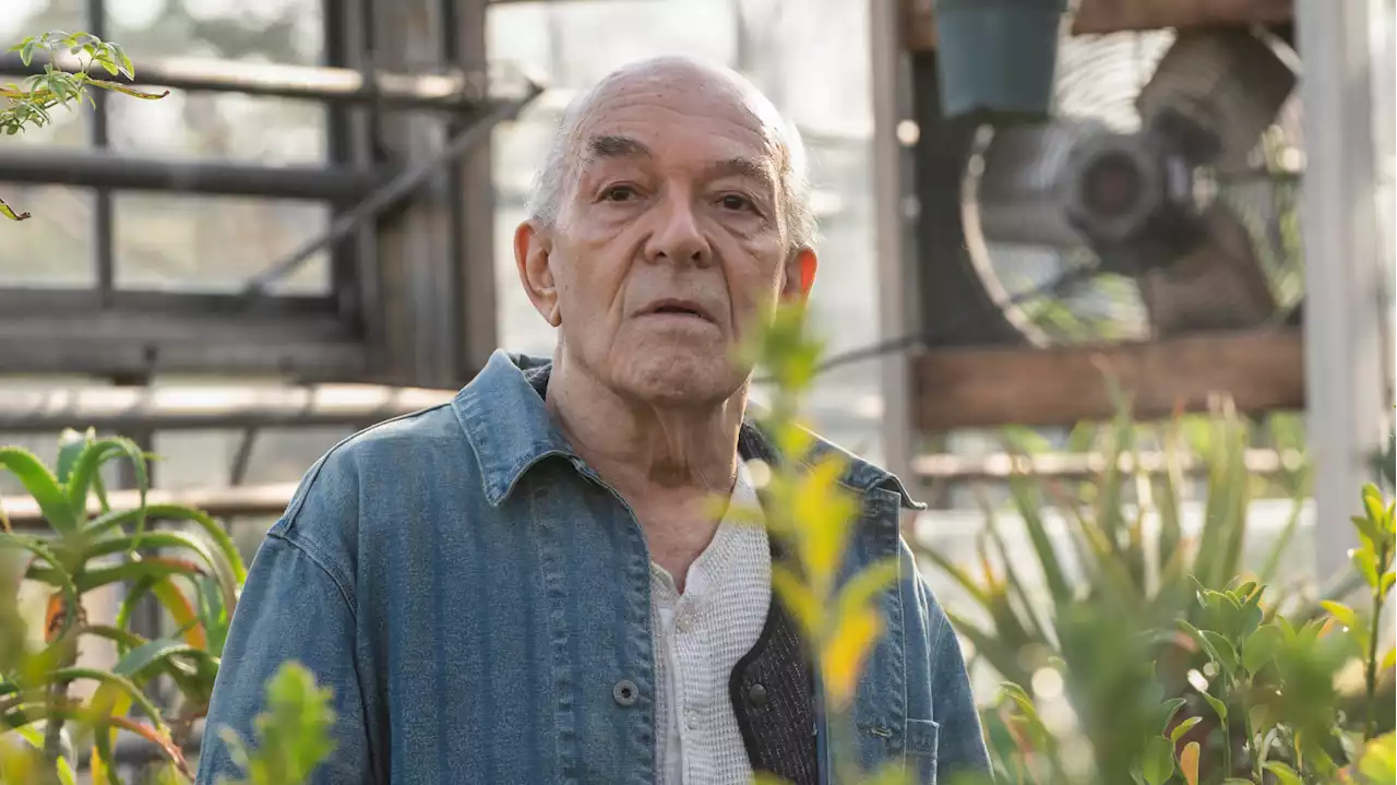 Star de « Breaking Bad », « Scarface » et « Oz », l’acteur Mark Margolis est mort à 83 ans